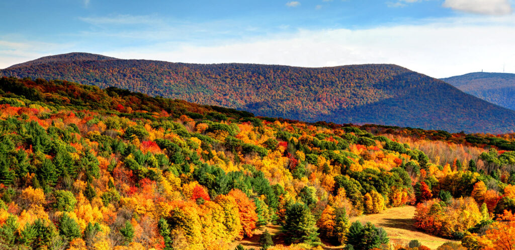 El follaje otoñal crea una paleta forestal de colores brillantes en Berkshires.