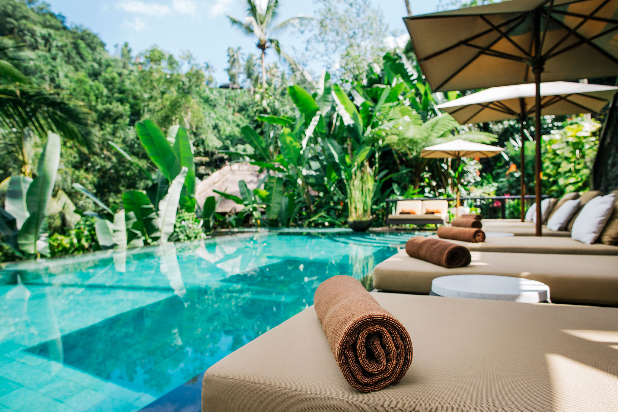 Junto a una piscina tropical, toallas limpias en reposeras esperan a sus huéspedes.