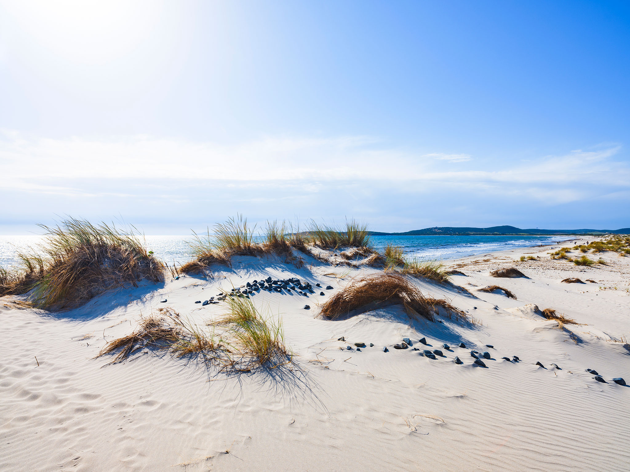 La hierba cubre las dunas de arena de la playa.